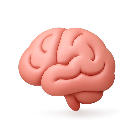 뇌졸중 재활 프로그램